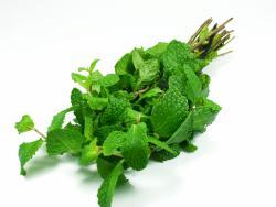 Peppermint Essential Oil