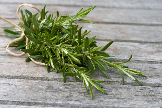 Rosemary Essential  Oil