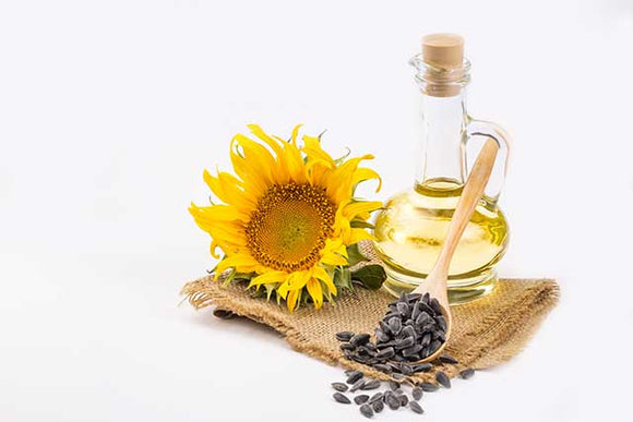 Sunflower Essential Oil